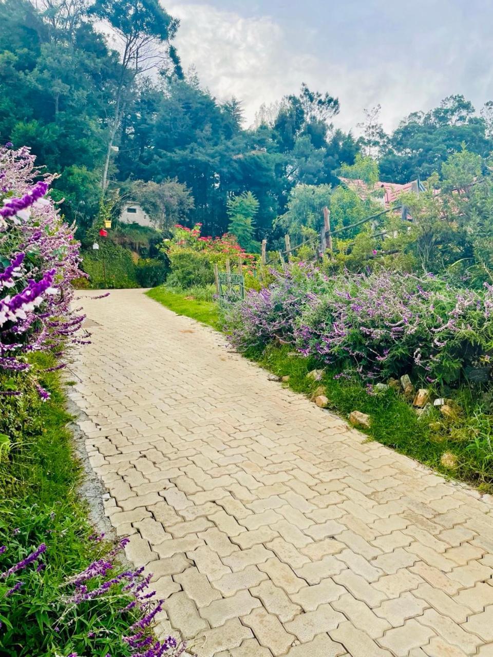 Stumpfields Bed & Breakfast Ooty Exterior photo